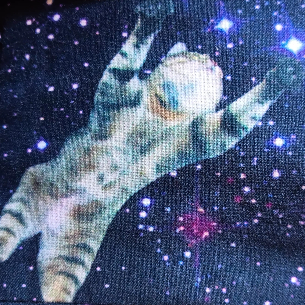 Modcloth "Take Up Space" Fit and Flare Cats Kittens in Space Dress - Picture 7 of 14